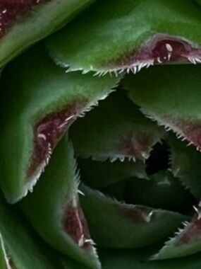 Glossier Distressed Charcoal Crew Neck Sweater Top Womens size XL